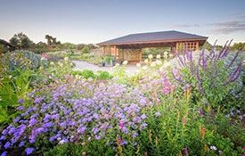 Auckland Botanic Gardens